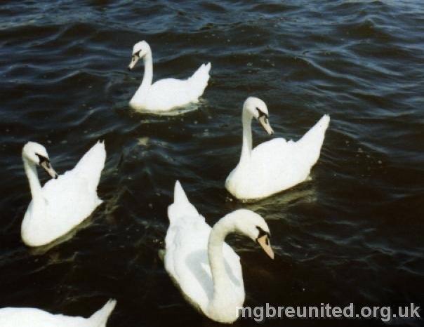 Swan Lake Norfolk Broads 1972